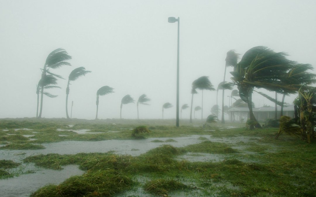 hurricane nursing home