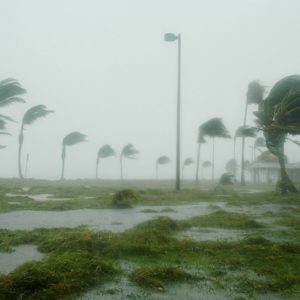 hurricane nursing home